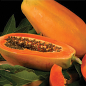 Carica Papaya - Soapwerke Best Effective Whitening Soap